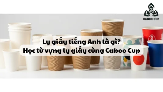 Ly giấy tiếng Anh là gì? Học từ vựng ly giấy cùng Caboo Cup
