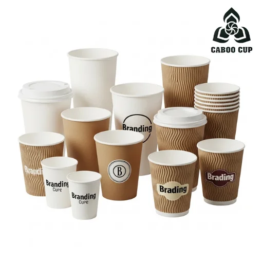 Ly giấy tiếng Anh là gì? Học từ vựng ly giấy cùng Caboo Cup