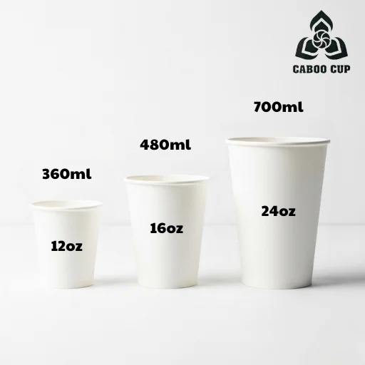 Ly giấy tiếng Anh là gì? Học từ vựng ly giấy cùng Caboo Cup