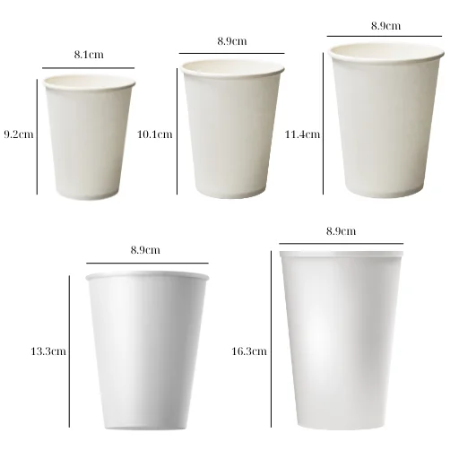 Tổng hợp kích thước ly giấy chuẩn, thông dụng nhất hiện nay