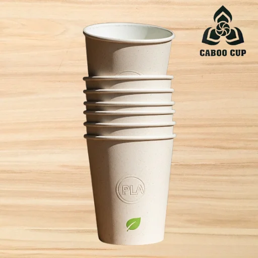 Các loại ly giấy dùng một lần phổ biến hiện nay
