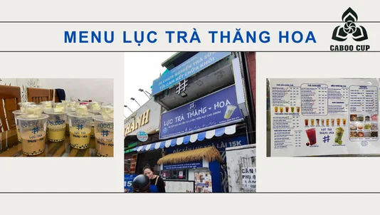 Khám phá menu Lục Trà Thăng Hoa: Có gì đặc biệt mà giới trẻ yêu thích đến vậy?